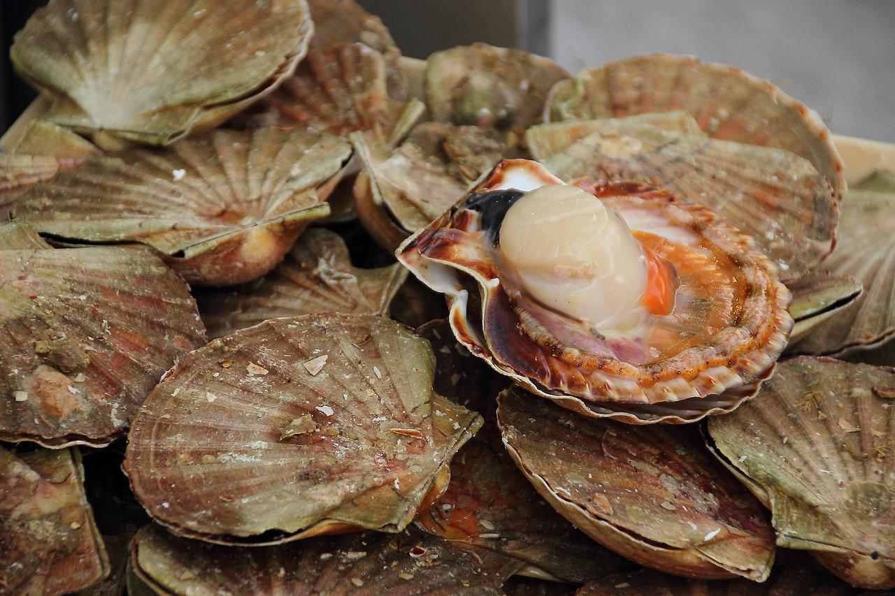 Savoring Seafood by the Mediterranean Coast