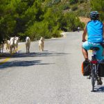 Beyond the Brochure: Authentic Turkish Culture on Two Wheels in Antalya.