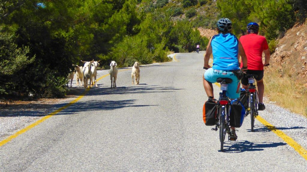 Beyond the Brochure: Authentic Turkish Culture on Two Wheels in Antalya.