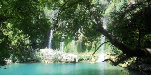 Local Eats and Hidden Gems Along the Waterfall Trail