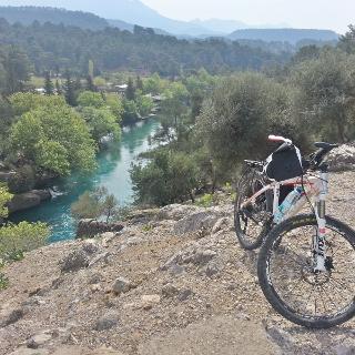 Hidden Mountain Routes and Lush Forest Paths